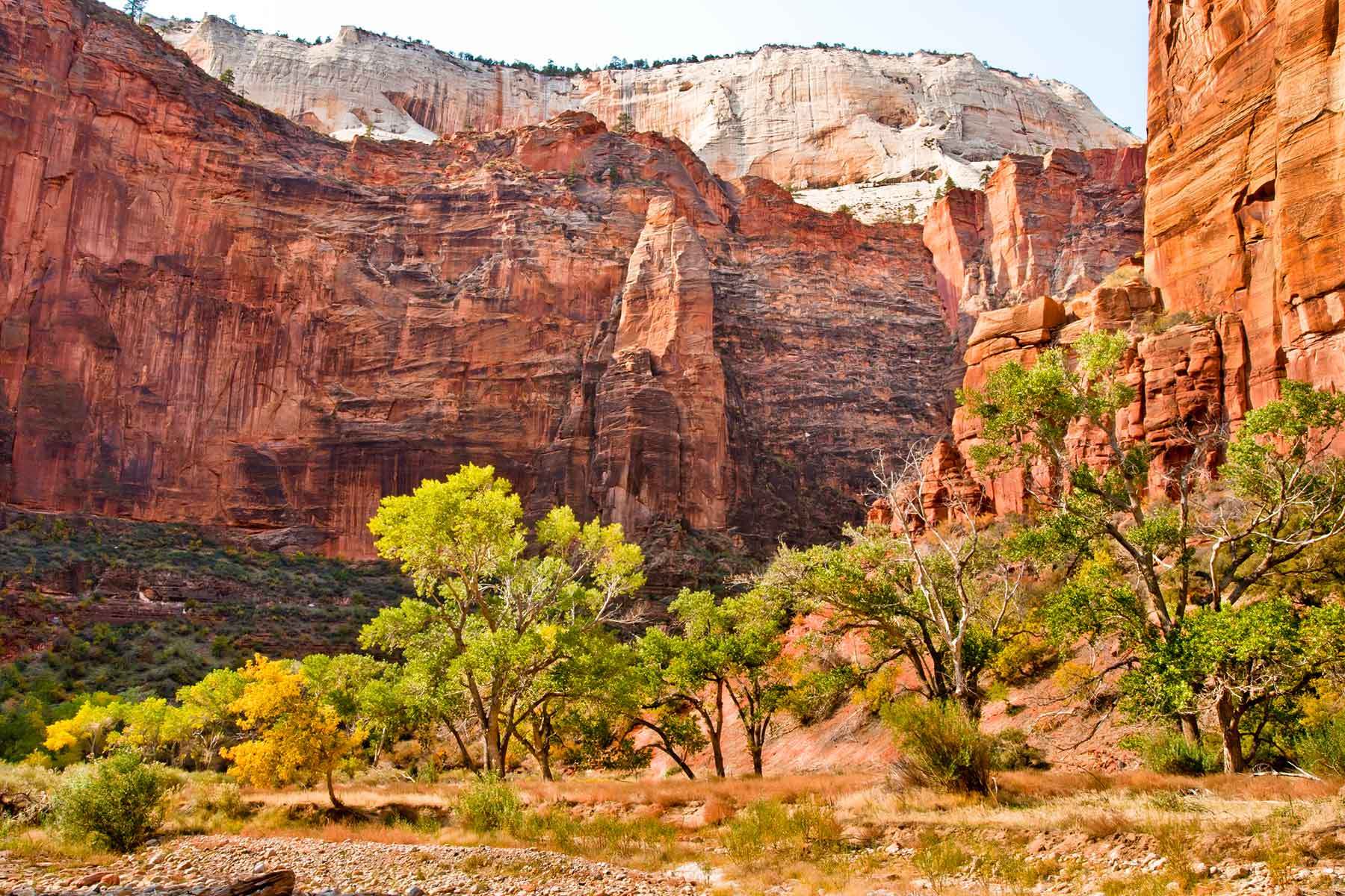 Day trips from las vegas to zion national park ; 190 Zion Bryce Canyon Tour From Las Vegas Grand Canyon Tours By Gc Tours
