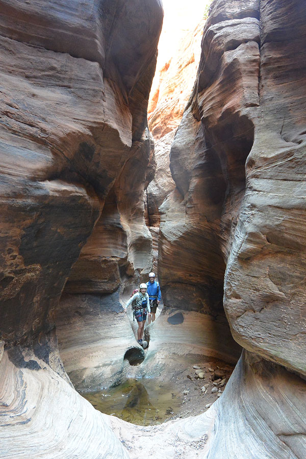 Timlin hopes to change that. Zion Adventure Company The Latest Rave Canyoneering Trip Reports And Stories From Tom Jones