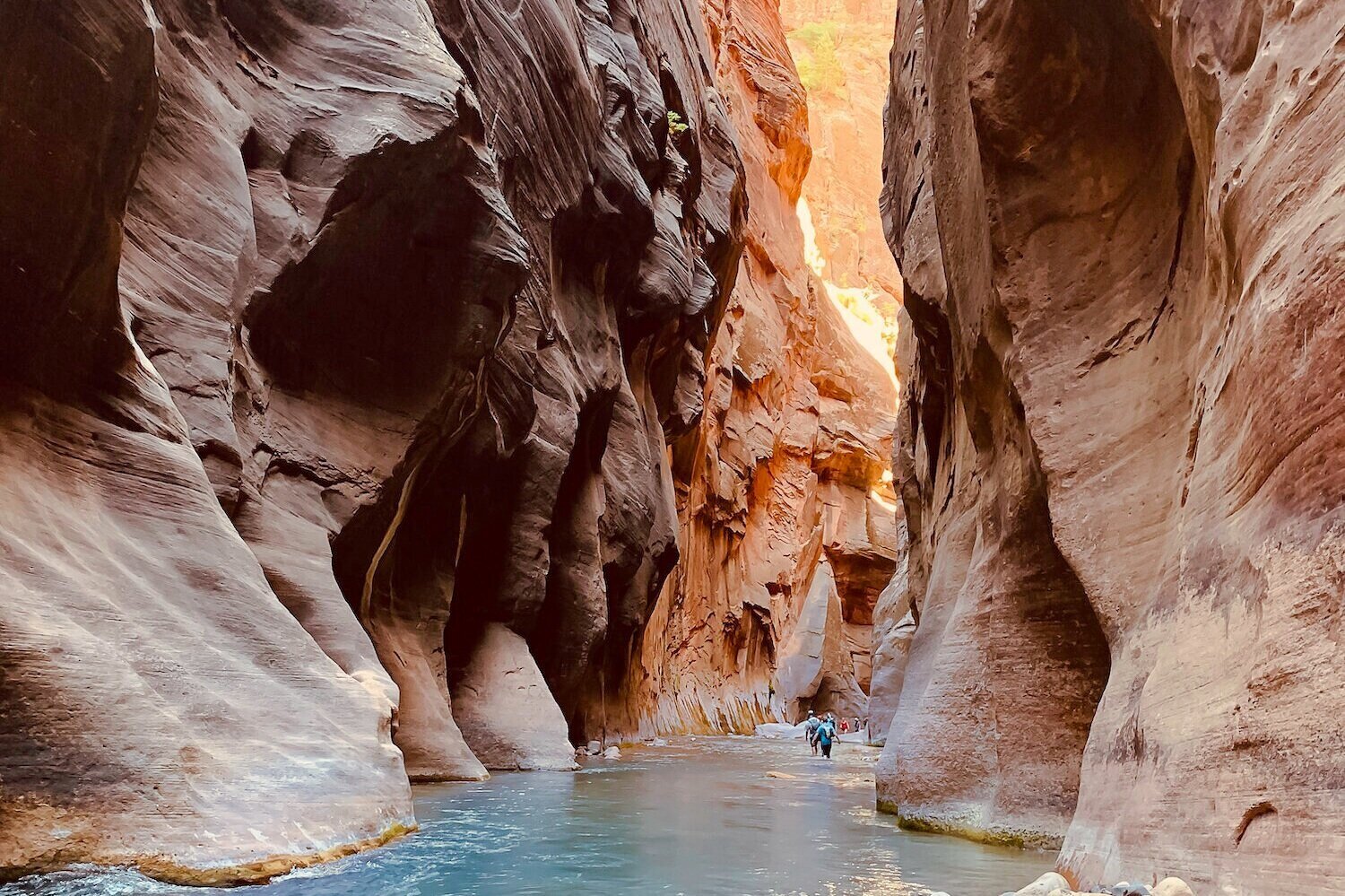 Experience the profound beauty of zion national park in relaxed comfort at red rock inn. The Narrows At Zion National Park A Complete Guide Marco Feng