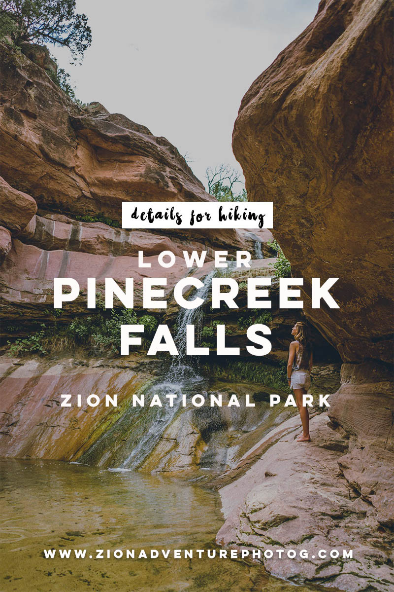 Lower pine creek falls is actually one of several waterfalls within the deep crease of pine creek canyon. Lower Pine Creek Falls Secret Waterfall Hike In Zion National Park