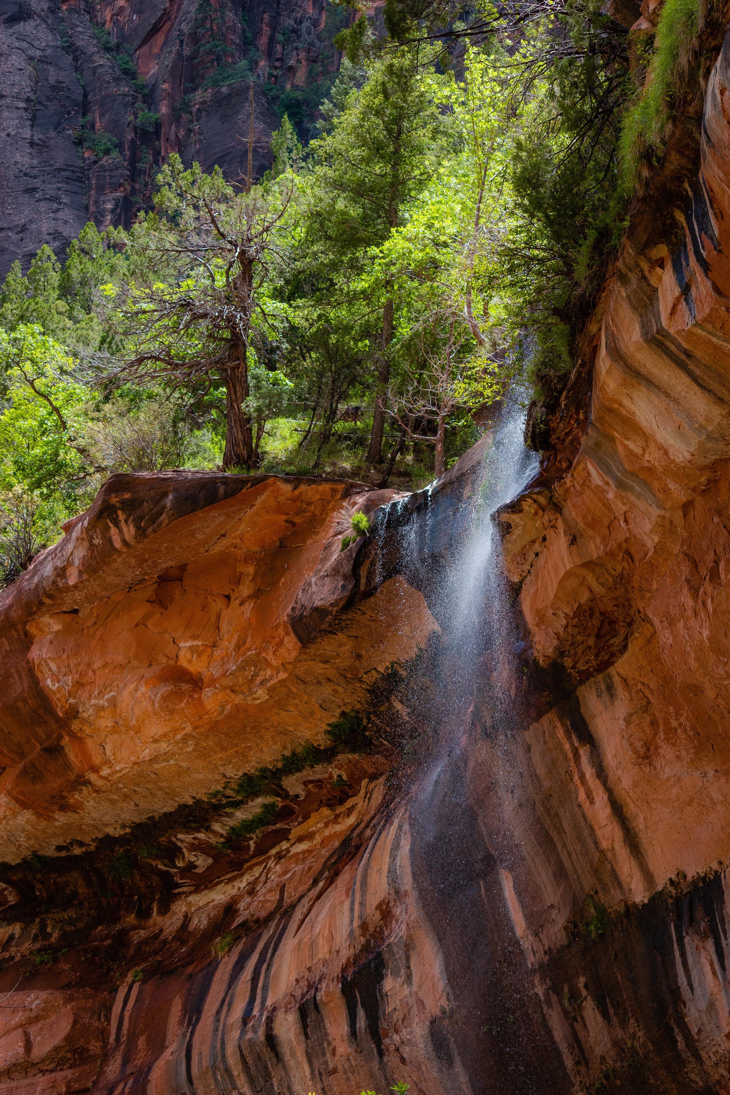 Zion narrows has a number of waterfalls. How To Spend One Day In Zion National Park Nichole The Nomad