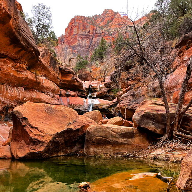 A pool sits below the fall, inviting hikers to take a moment to wade and swim—which is permitted in this area, unlike some of the other pools in the zion area. Lower Pine Creek Hike Scouterlife
