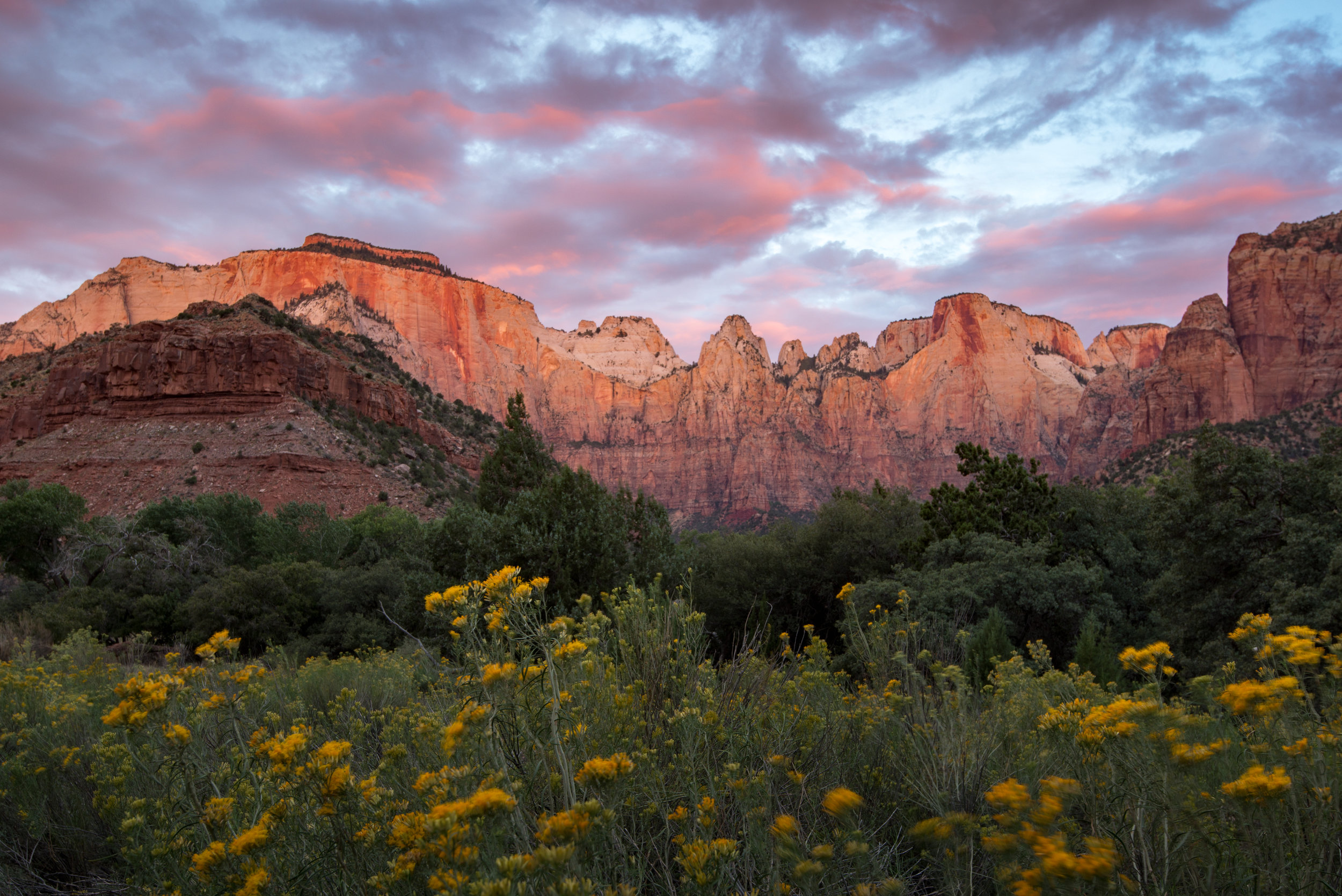 This landscape photography oriented expedition will put you and your lens in. Zion Sunset Photo Tours