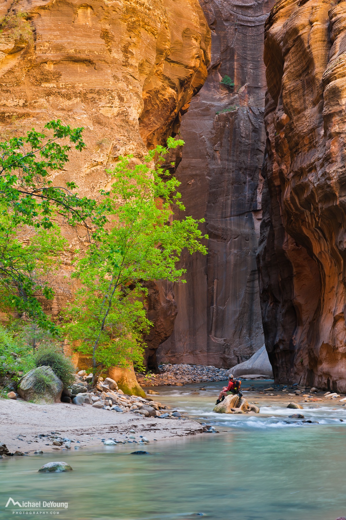 Meet your guide at the trailhead and hop on . Guided Tour Of The Narrows In Zion National Park
