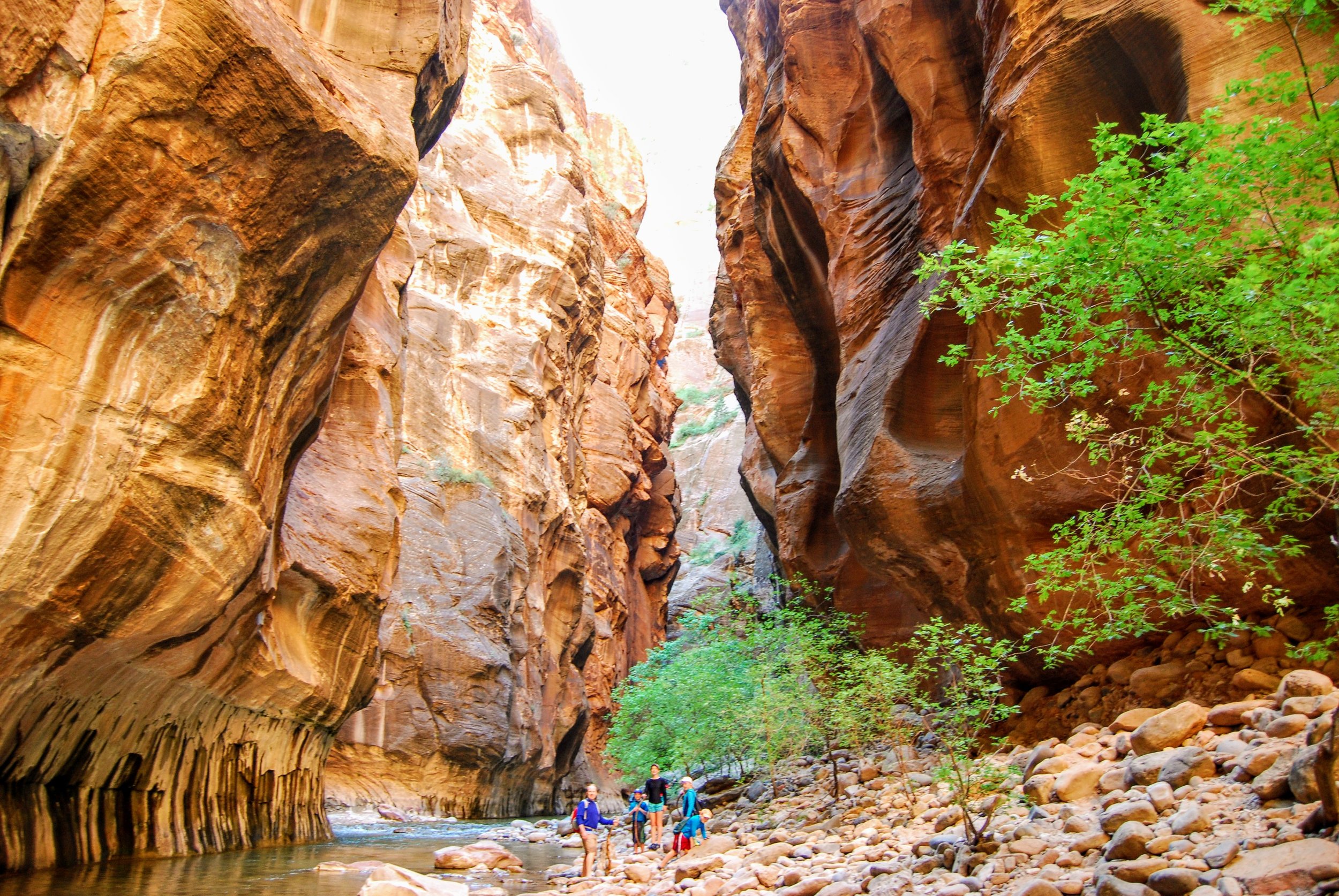 Find guided hikes and more. Yes You Can Hike The Narrows In Zion With Kids Everything You Need To Know Simply Awesome Trips