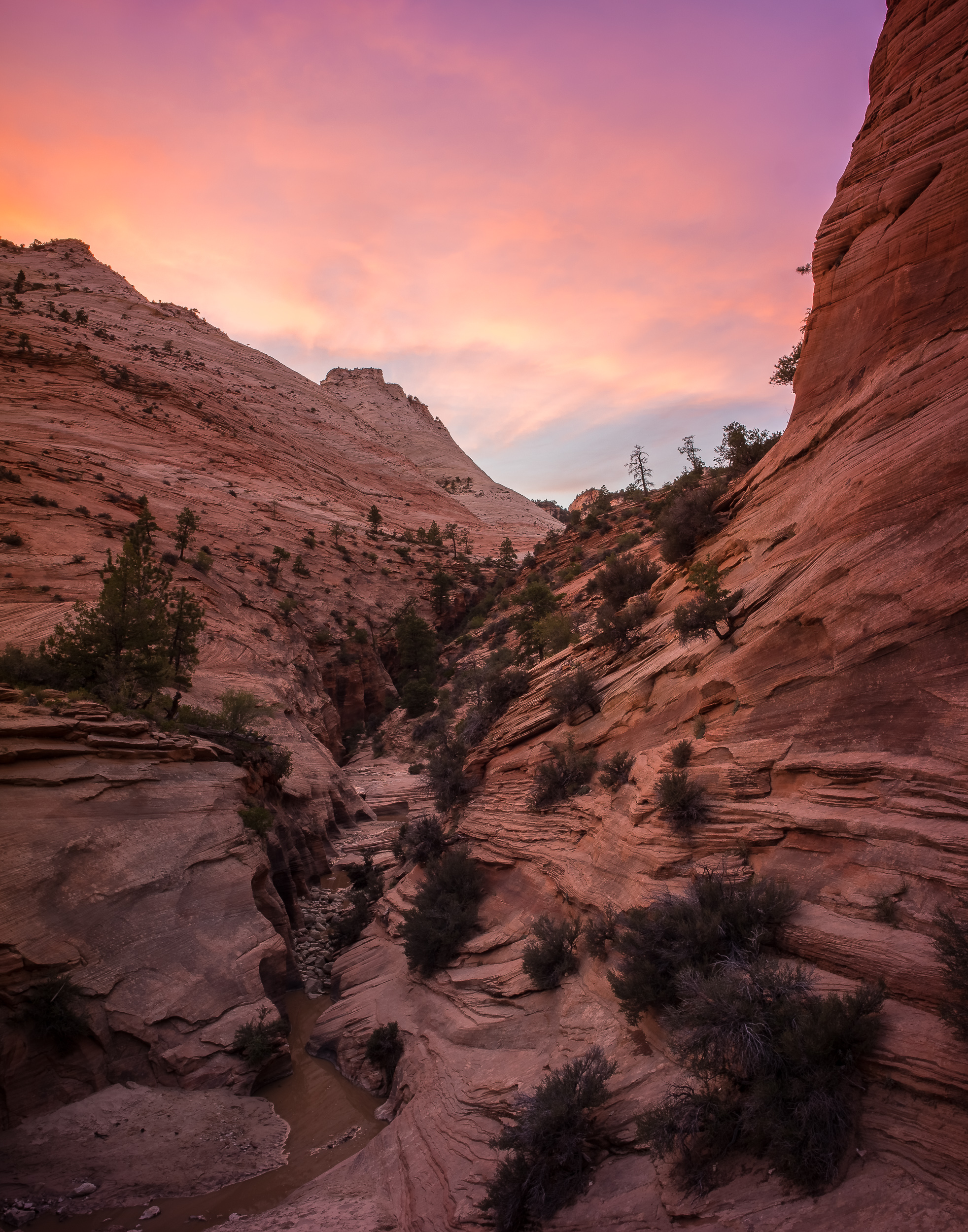 Definitely canyon junction/the watchman, especially since it's easy to get to and you don't have to lug equipment up and down steep trails. Zion East Side Canyon Sunset Zion National Park Utah Solsticephoto